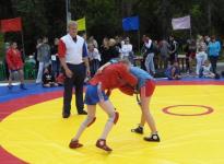 Областной турнир по самбо пройдет в Нижнем Новгороде 3 сентября  