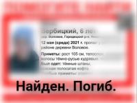 СК начал проверку из-за гибели пропавшего 6-летнего мальчика в Городецком районе 