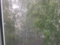 Дожди и сильный ветер накроют Нижний Новгород 23 июня 