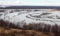 Реку Рязанку назвали самым загрязненным нижегородским водоемом 