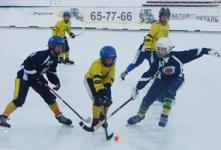 Нижегородские хоккеисты одержали вторую победу на Кубке "Торпедо" 