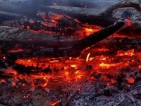 Площадь лесных пожаров в Нижегородской области за сутки увеличилась до 4110 га 