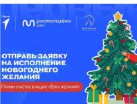 Благотворительная акция «Ёлка желаний» стартовала в Нижегородской области 
