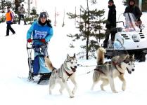 Победителем в самом сложном классе Всероссийских гонок на собачьих упряжках «Зимняя Сказка 2014» вновь стала Ольга Протасова 