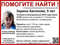 Волонтерам нужно снаряжение в поиске 5-летней Зарины Авгоновой 