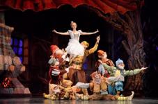 Театр оперы и балета приглашает на встречу с новогодней сказкой 