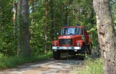 Нижегородское лесничество осуществляет регулярное патрулирование лесов 