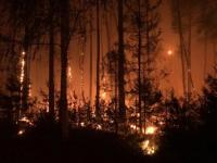 Режим ЧС возобновлен в Сарове из-за лесных пожаров 