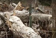 Спиленные деревья повредили могилы на кладбище в Воскресенском районе 