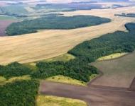 Нижегородку оштрафовали за сорняки на участке 