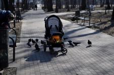 Очередную оставленную без присмотра детскую коляску украли в Нижнем Новгороде
 