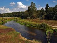 Купание в неположенном месте стало причиной гибели нижегородца  