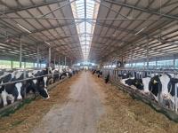 Новую молочную ферму за 320 млн рублей запустили в Бутурлинском округе 