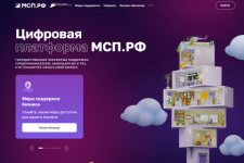 Нижегородский бизнес воспользовался платформой МСП.РФ более 80 000 раз 
