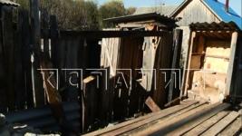 Многодетная мать с бензопилой разрушила соседский забор в Кулебаках  