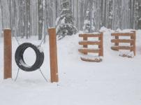 Парк «Швейцария» в Нижнем Новгороде полностью открылся с 25 декабря    