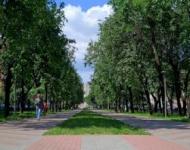 Акцию "фримаркет" проведут в нижегородском парке Кулибина 