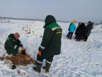 Росприроднадзор выясняет причины возникновения несанкционированной свалки в Кстовском районе  