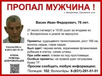76-летний Иван Васин пропал в Нижегородской области 