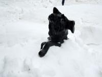 Нижегородцев ждут похолодания 