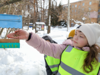 Акция «Покорми птиц зимой» прошла в нижегородском сквере «Звезда» 