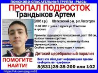 Подросток с ДЦП ушел из дома и пропал в Шатковском районе 