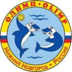 Нижегородский "Олимп" обыграл "Штурм-2002" 
