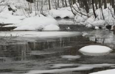 Водолазы искали пропавшего 10-летнего нижегородского мальчика 24 февраля  