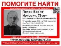 Поиски 79-летнего грибника продолжаются на Бору 