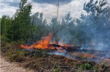 Пожар площадью 5,5 га локализовали в Керженском заповеднике 