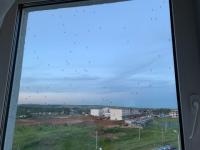 Жители ЖК "Окский берег" страдают от нашествия комаров 