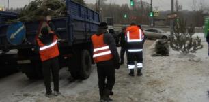 Нелегальный ёлочный базар закрыли в Нижнем Новгороде 