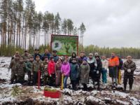 Сотрудники ГЖД высадили 6000 саженцев деревьев в рамках акции «Сад памяти» 