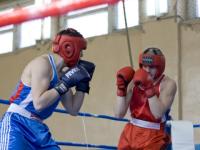 Турнир по профессиональному боксу "Коррида в Нижнем" впервые пройдет в Нижегородской области 