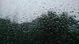 Пасмурная и дождливая погода ожидает нижегородцев 24 сентября   