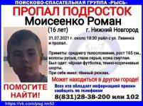 В Нижнем Новгороде продолжаются поиски одного из двоих пропавших подростков 