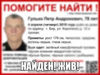 Пропавший в Нижегородской области Петр Гулько найден 