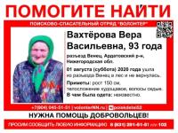 93-летняя пенсионерка пропала в лесу в Нижегородской области 