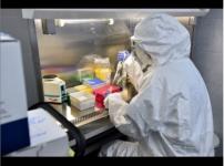 Нижегородцев признают неофициально переболевшими коронавирусом по ПЦР-тестам 