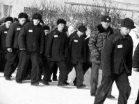 Прокуратура добилась медпомощи для заключенных четырех нижегородских колоний 