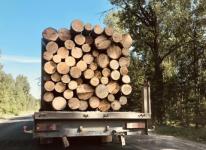 Нижегородцев предупредили о перевозке древесины по QR-кодам с 1 января 2022 года  