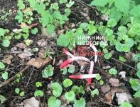 «Эротические» грибы нашли в Нижегородской области 