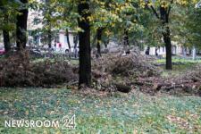 Лесничего придавило спиленным деревом в Лысковском районе 