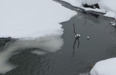 Провалившегося под лед нижегородца спасли на Гребном канале 