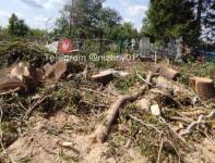 Кресты и ограды повалили при вырубке деревьев на нижегородском кладбище 