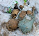 Найденные в Нижегородском кремле останки поместят под алтарь строящегося храма 