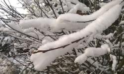 Небольшой снег при температуре до -9°C ожидается в Нижнем Новгороде 31 декабря
 