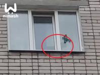 Две собаки погибают в запертой квартире после ареста хозяина в Дзержинске 