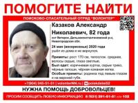 82-летний Александр Казаков пропал в нижегородском СНТ 