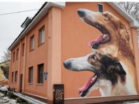 Граффити с русскими борзыми украсило жилой дом в Сормове 